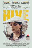 Hive (Colmena)