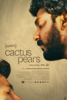 Sabar Bonda (Cactus Pears)