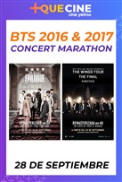 BTS 2016 & 2017 Concert Marathon