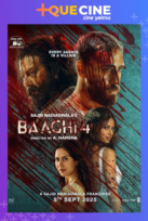 Baaghi 4