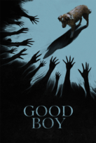 Good Boy
