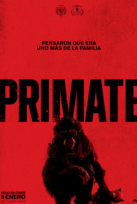 Primate