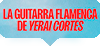 La guitarra flamenca de Yerai Cortés