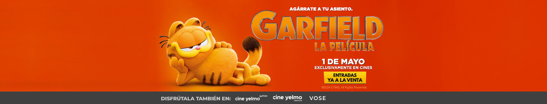 VA Garfield