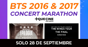 BTS 2016 & 2017 Concert Marathon