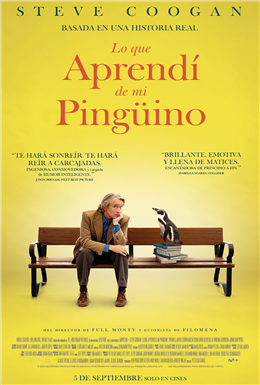 Lo que aprendí de mi pingüino