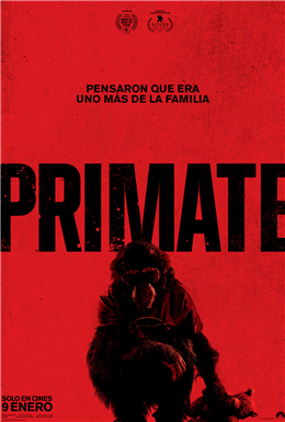 Primate