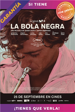 La bola negra